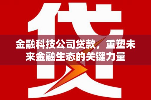 美浓金融科技公司贷款，重塑未来金融生态的关键力量