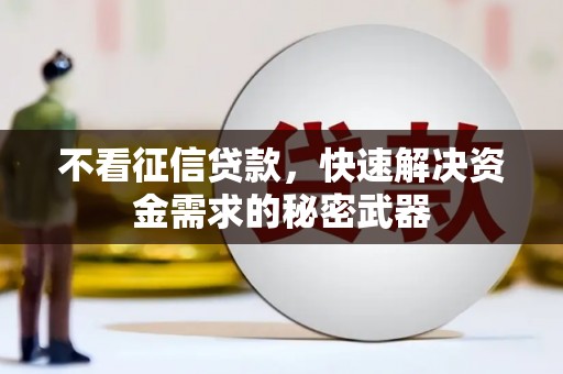 美浓不看征信贷款，快速解决资金需求的秘密武器