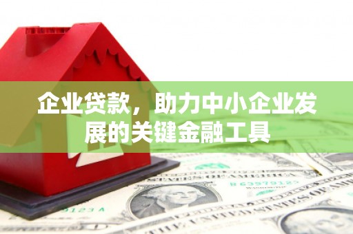 美浓企业贷款，助力中小企业发展的关键金融工具