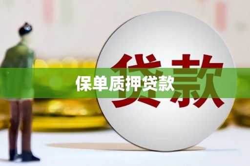 美浓保单质押贷款