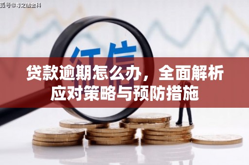 美浓贷款逾期怎么办，全面解析应对策略与预防措施