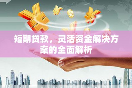 美浓短期贷款，灵活资金解决方案的全面解析