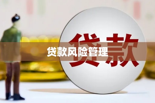 美浓贷款风险管理
