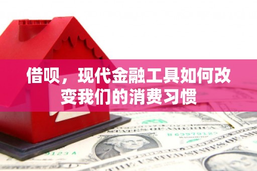 美浓借呗，现代金融工具如何改变我们的消费习惯
