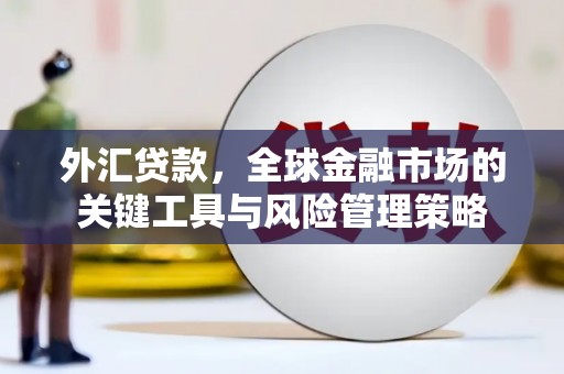 美浓外汇贷款，全球金融市场的关键工具与风险管理策略
