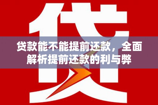 美浓贷款能不能提前还款，全面解析提前还款的利与弊
