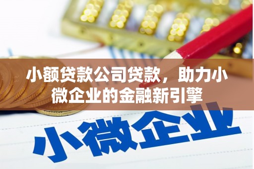 美浓小额贷款公司贷款，助力小微企业的金融新引擎