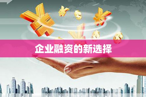 美浓企业融资的新选择