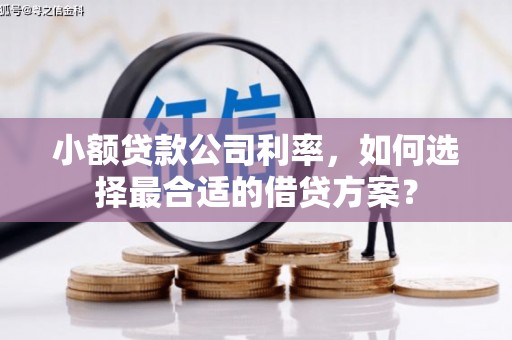 美浓小额贷款公司利率，如何选择最合适的借贷方案？