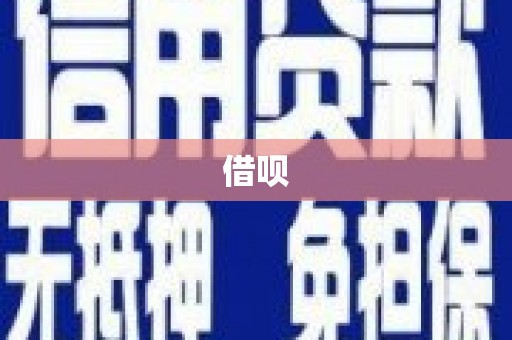 美浓借呗
