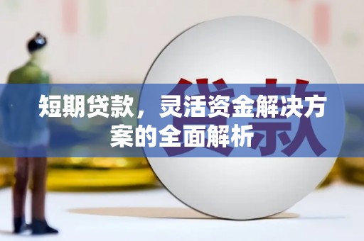 美浓短期贷款，灵活资金解决方案的全面解析