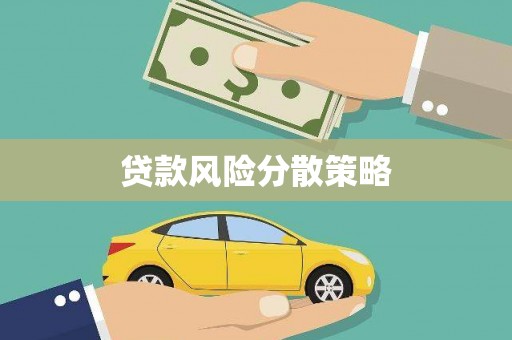 美浓贷款风险分散策略