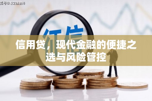 美浓信用贷，现代金融的便捷之选与风险管控