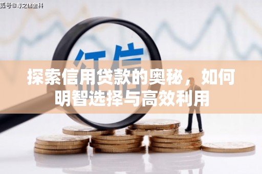 美浓探索信用贷款的奥秘，如何明智选择与高效利用