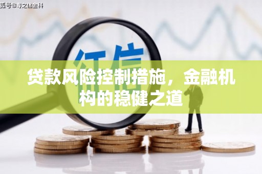 美浓贷款风险控制措施，金融机构的稳健之道