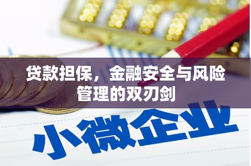 美浓贷款担保，金融安全与风险管理的双刃剑