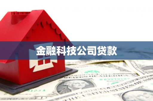 美浓金融科技公司贷款