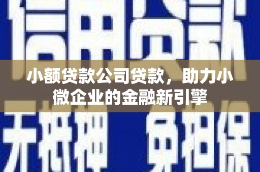 美浓小额贷款公司贷款，助力小微企业的金融新引擎