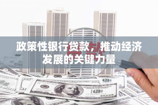 美浓政策性银行贷款，推动经济发展的关键力量