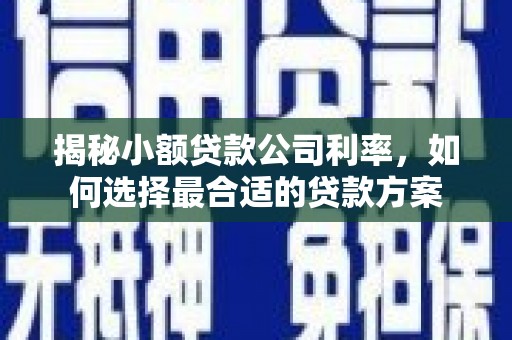 美浓揭秘小额贷款公司利率，如何选择最合适的贷款方案