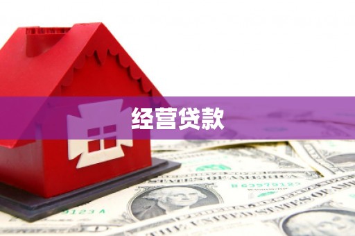 美浓经营贷款