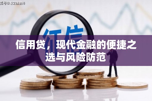 美浓信用贷，现代金融的便捷之选与风险防范