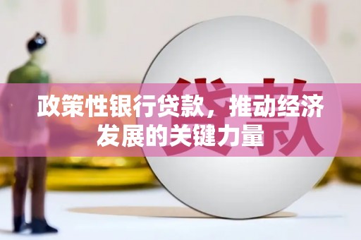 美浓政策性银行贷款，推动经济发展的关键力量