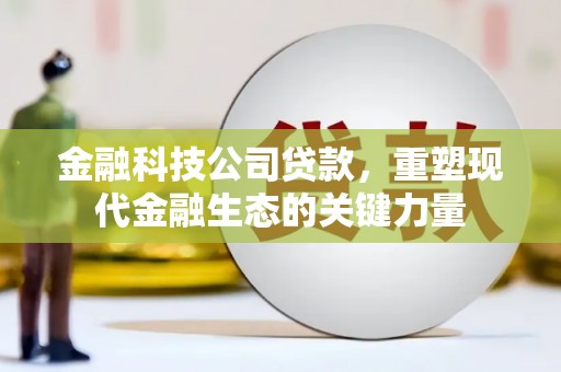 美浓金融科技公司贷款，重塑现代金融生态的关键力量