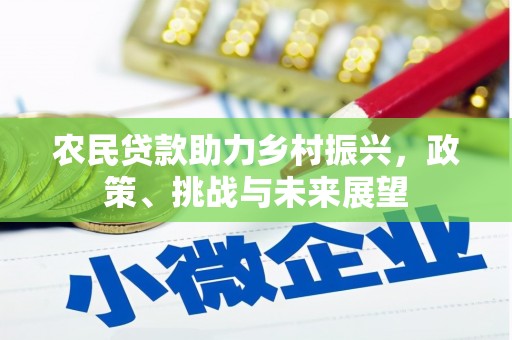 美浓农民贷款助力乡村振兴，政策、挑战与未来展望