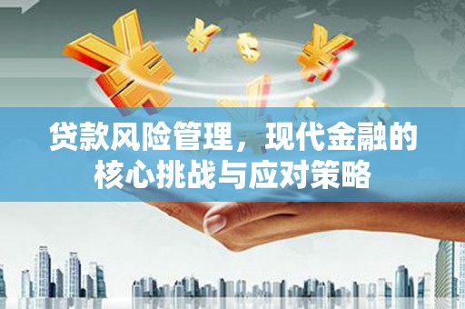 美浓贷款风险管理，现代金融的核心挑战与应对策略