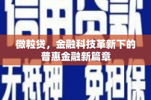 美浓微粒贷，金融科技革新下的普惠金融新篇章