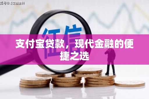 美浓支付宝贷款，现代金融的便捷之选