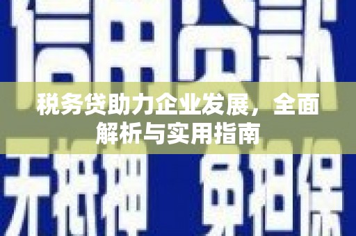 美浓税务贷助力企业发展，全面解析与实用指南