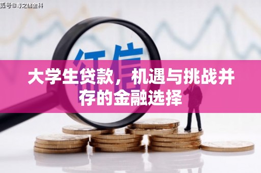 美浓大学生贷款，机遇与挑战并存的金融选择