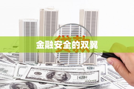 美浓金融安全的双翼