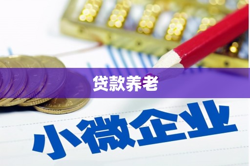美浓贷款养老
