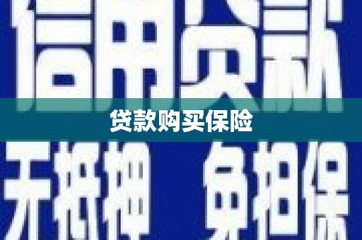 美浓贷款购买保险