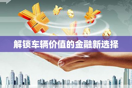 美浓解锁车辆价值的金融新选择
