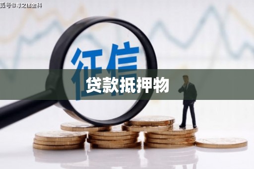 美浓贷款抵押物