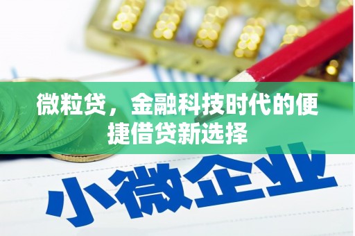 美浓微粒贷，金融科技时代的便捷借贷新选择