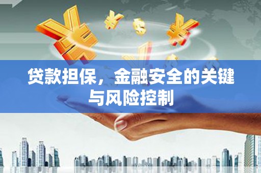 美浓贷款担保，金融安全的关键与风险控制
