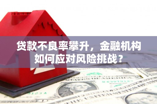 美浓贷款不良率攀升，金融机构如何应对风险挑战？