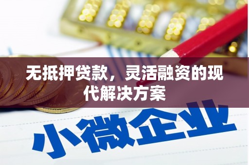 美浓无抵押贷款，灵活融资的现代解决方案