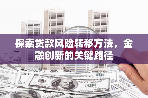 美浓探索贷款风险转移方法，金融创新的关键路径