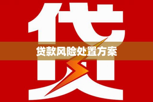 美浓贷款风险处置方案