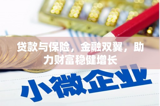 美浓贷款与保险，金融双翼，助力财富稳健增长