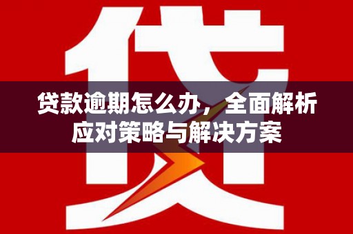 美浓贷款逾期怎么办，全面解析应对策略与解决方案