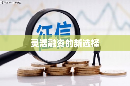 美浓灵活融资的新选择