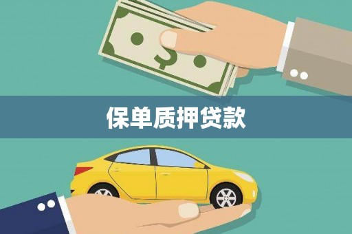 美浓保单质押贷款