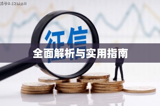 美浓全面解析与实用指南